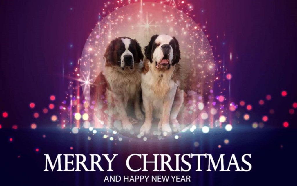 22.12.2023   Océane mit Angelo 