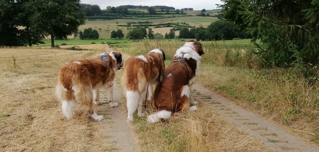 Photos de mes Bébés