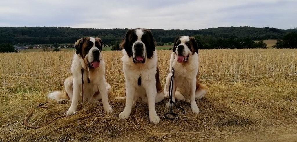 Photos de mes Bébés