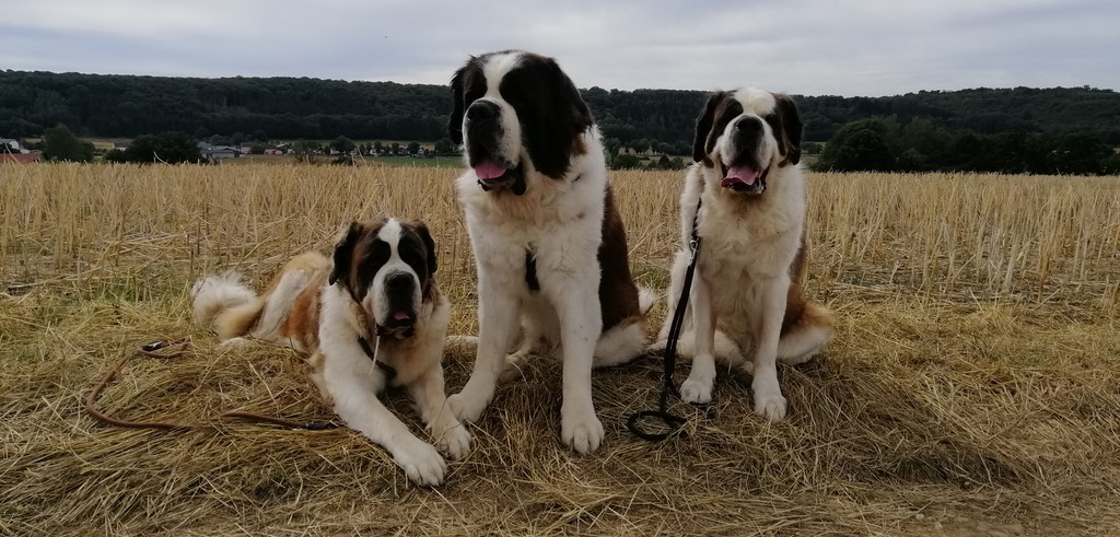 Photos de mes Bébés