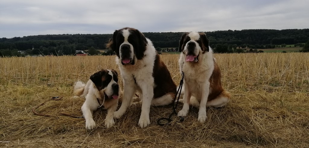 Photos de mes Bébés