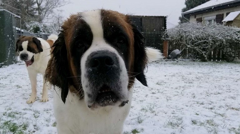 Opale & Orly (Hinter)