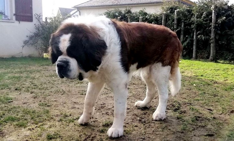 Jayant vom Haselrecht