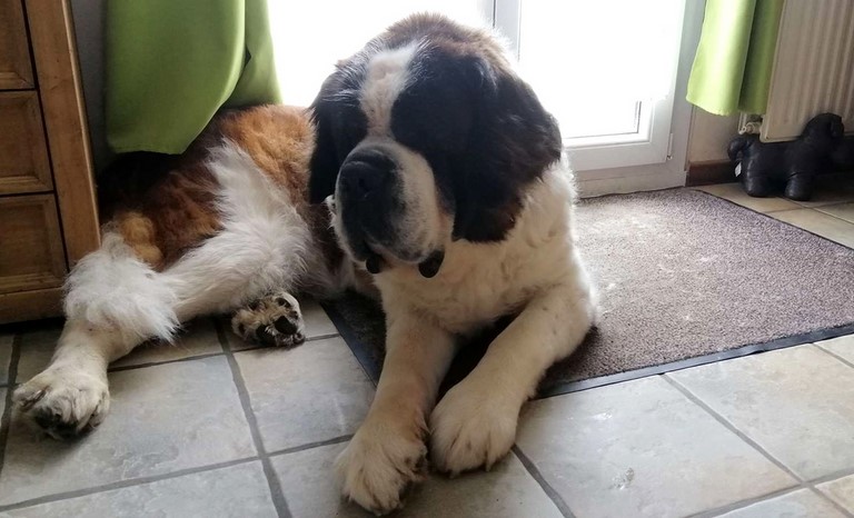 Jayant vom Haselrecht