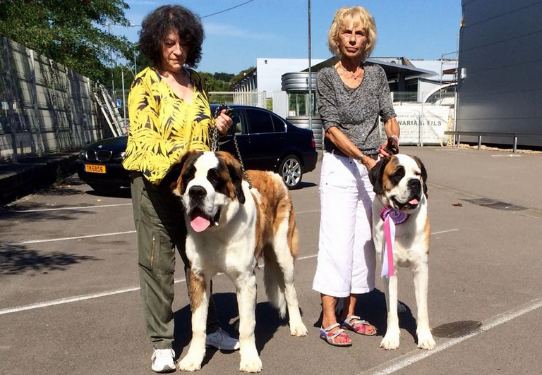 Layan vom Haselrecht 8 M.