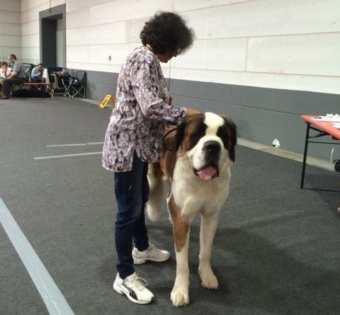 Layan vom Haselrecht