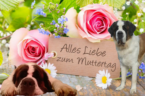 Tochtern Jara & Leisy