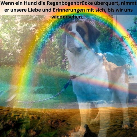 Orchidée vom Haselrecht