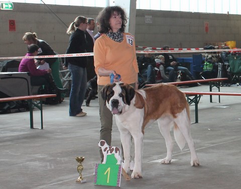 Jaya vom Haselrecht 9 M. alt