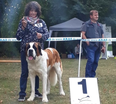 22.09.19 Orly in Jubiläumsschau Ludwigshafen Orly vom Haselrecht