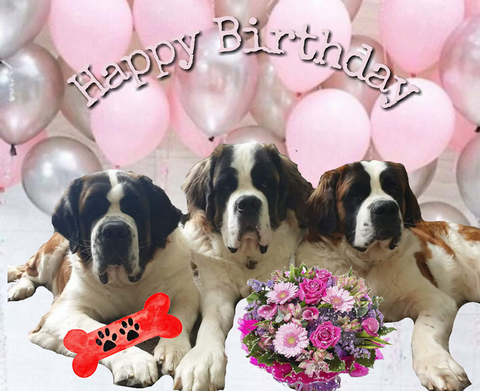 Happy B. Mayerling des Coteaux Lauragais