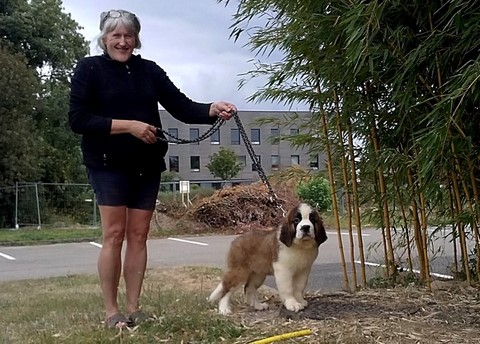 Mayerling des Coteaux Lauragais avec son éleveuse