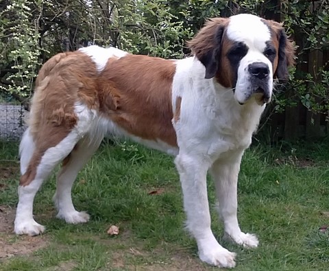 Licia des Montagnes Ensablées Licia des Montagnes Ensablées