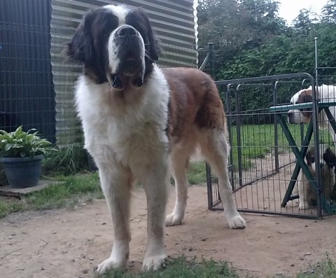 Jayant vom Haselrecht Jayant vom Haselrecht