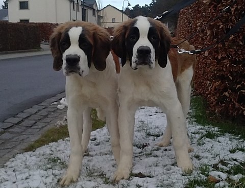 Orly vom Haselrecht & Olyana