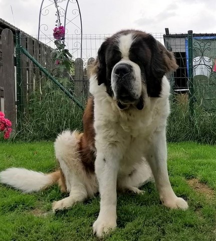 Jayant vom Haselrecht