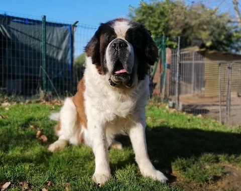 Jayant vom Haselrecht