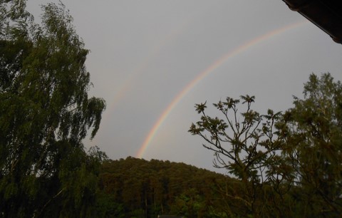 Regenbogen