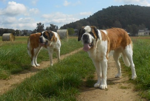 Mama Usina & Tochter Jaya vom Haselrecht