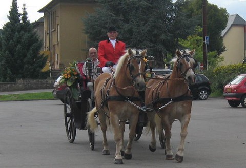 Weinfest Grévenmacher 2010