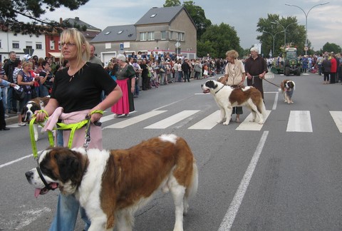 Weinfest Grévenmacher 2010