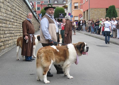 Weinfest Grévenmacher 2010