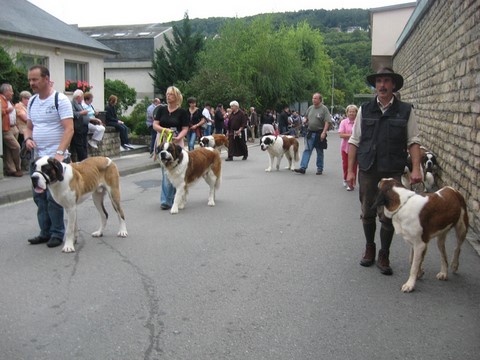 Weinfest Grévenmacher 2010