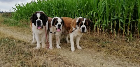 Photos de mes Bébés