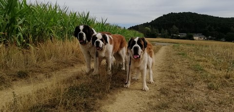 Photos de mes Bébés