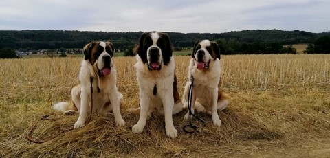 Photos de mes Bébés