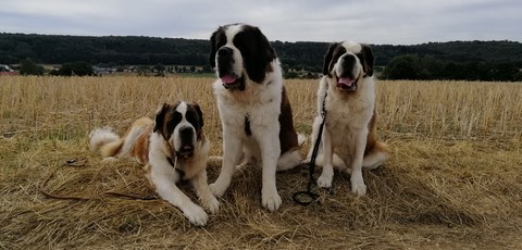 Photos de mes Bébés