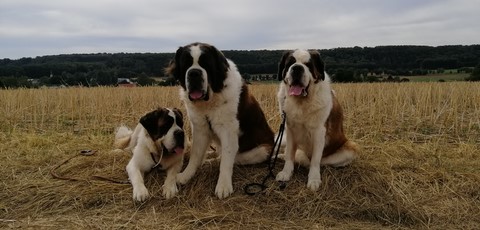 Photos de mes Bébés