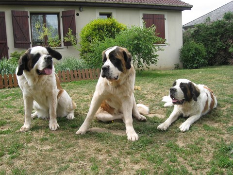 Xionara, Ursina, Oxana