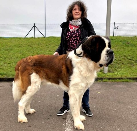 Jayant vom Haselrecht