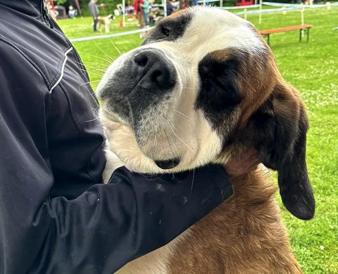 Kendra von den Grossen Strolchen