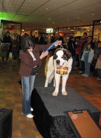 Xionara Vaya v.`t Beukeböschke