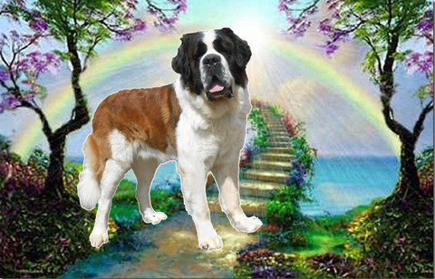 Jayant vom Haselrecht Regenbogenbrück