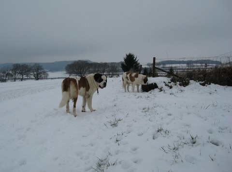 Xionara & Oxana 06.12.10