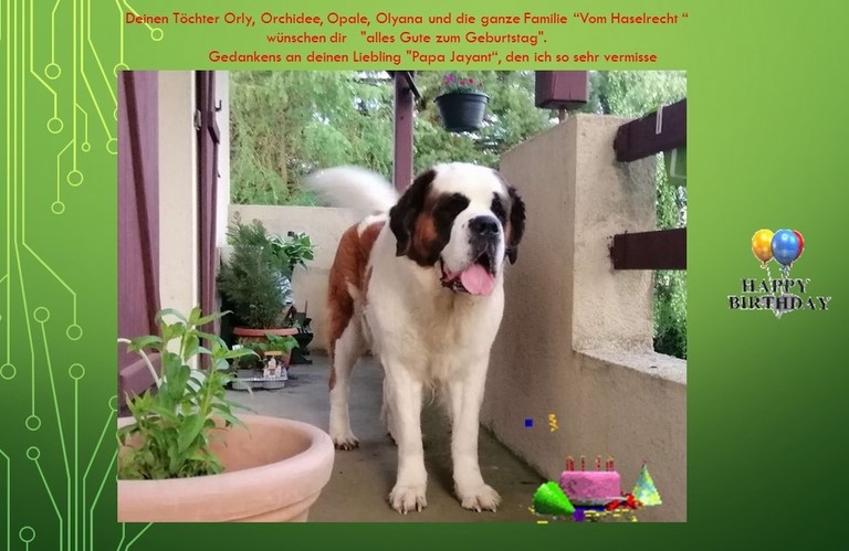 Licia des Montagnes Ensablées