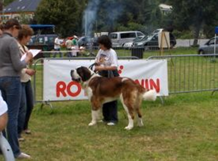 Gizmo vom-Illtal 22 M.