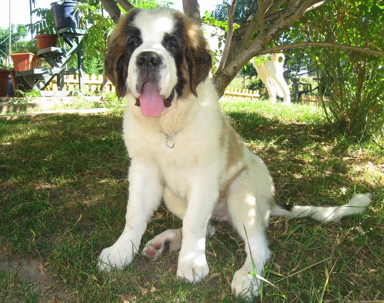 Oxana  presque 4 mois