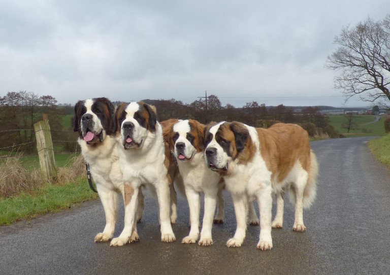 Jayant, Layan, Licia & Ursina (Sina)