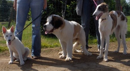 Xionara Vaya v.`t Beukeböschke