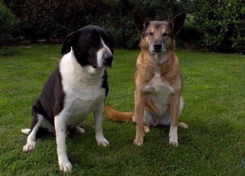 Samson & Leïka