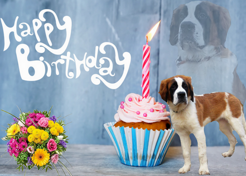 Océane vom Haselrecht