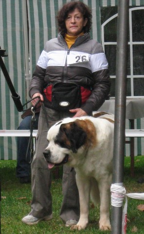 Xionara Vaya v.`t Beukeböschke