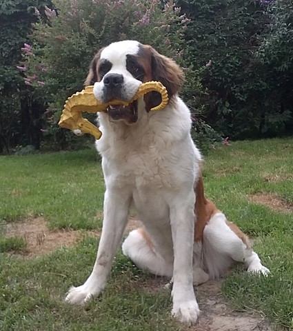 Licia des Montagnes Ensablées