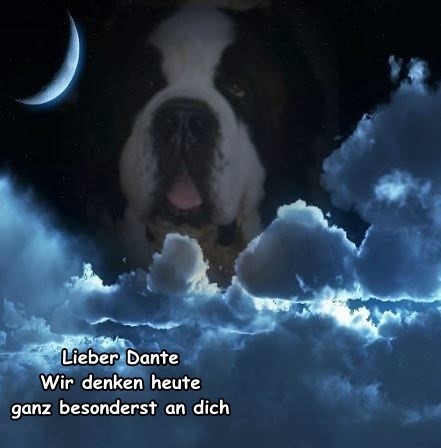 R.I.P. Dante vom-Illtal