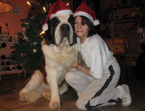 Dante vom-Illtal mit Mama