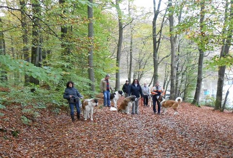 01/11/13 Wandertag in Mosel